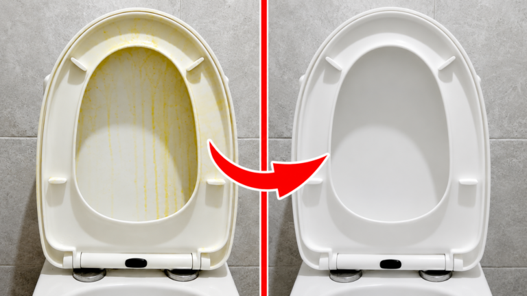 Hotelreiniger schwören auf diesen Trick: Vergilbte Toilettensitze werden sofort wieder strahlend weiß!