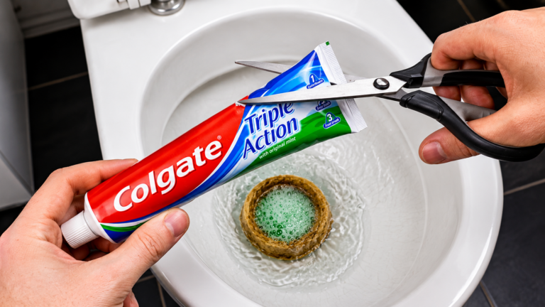 Unglaublicher Toiletten-Trick 🤯, den die meisten noch nicht kennen!